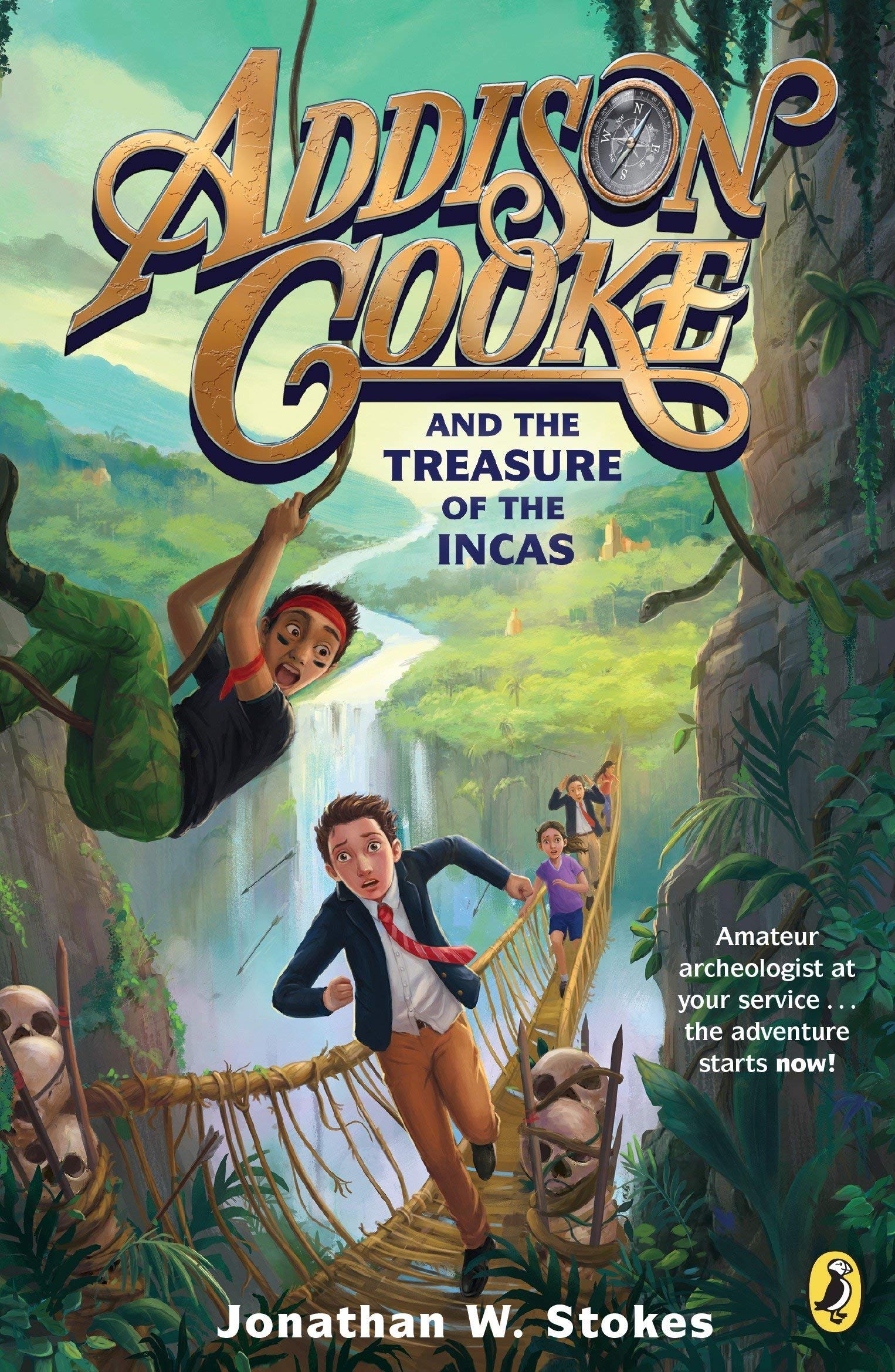 Addison Cooke Series Set