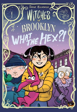 Witches of Brooklyn Series 4 Books Set (A Graphic Novel)