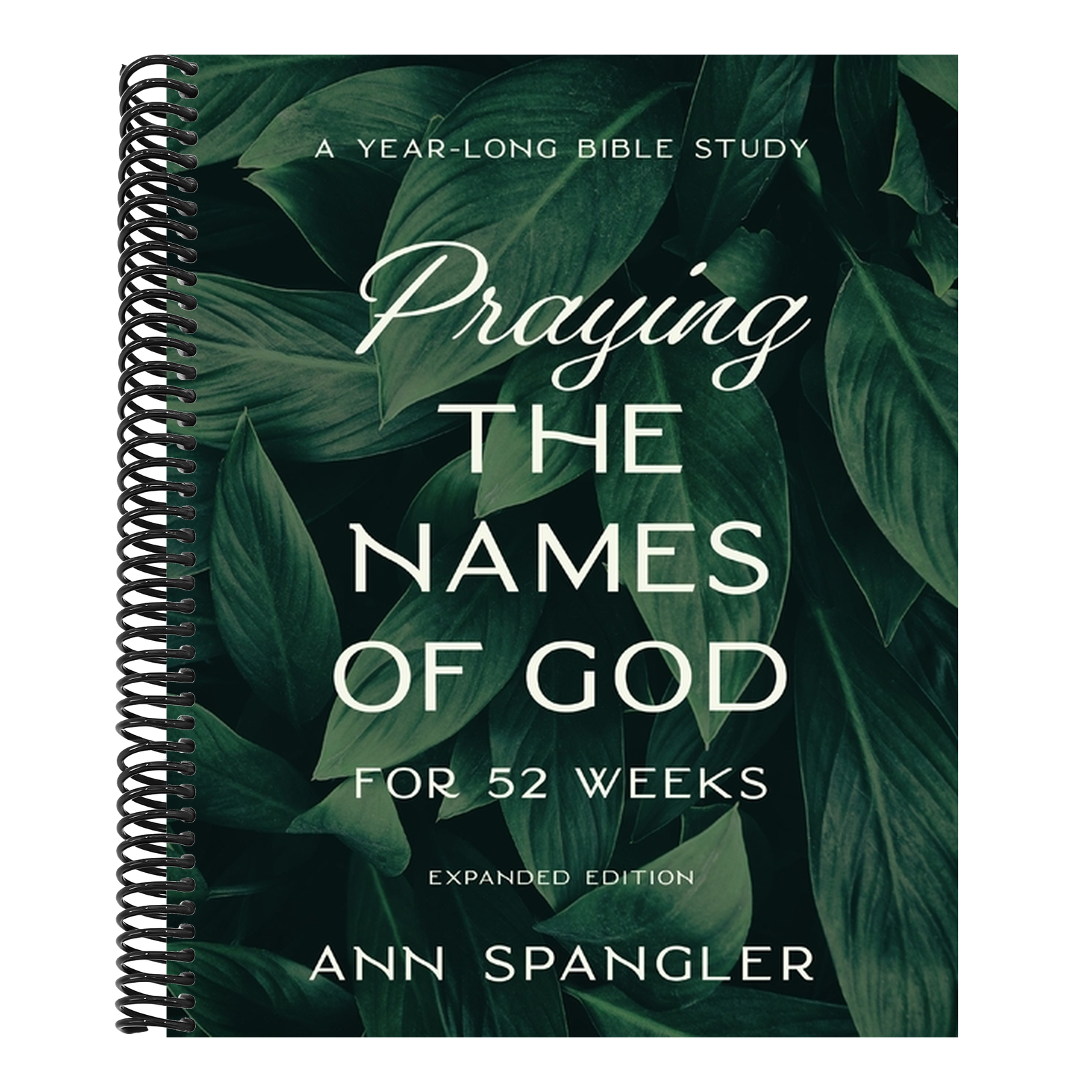 Praying the Names of God for 52 Weeks, Expanded Edition: A Year-Long Bible Study