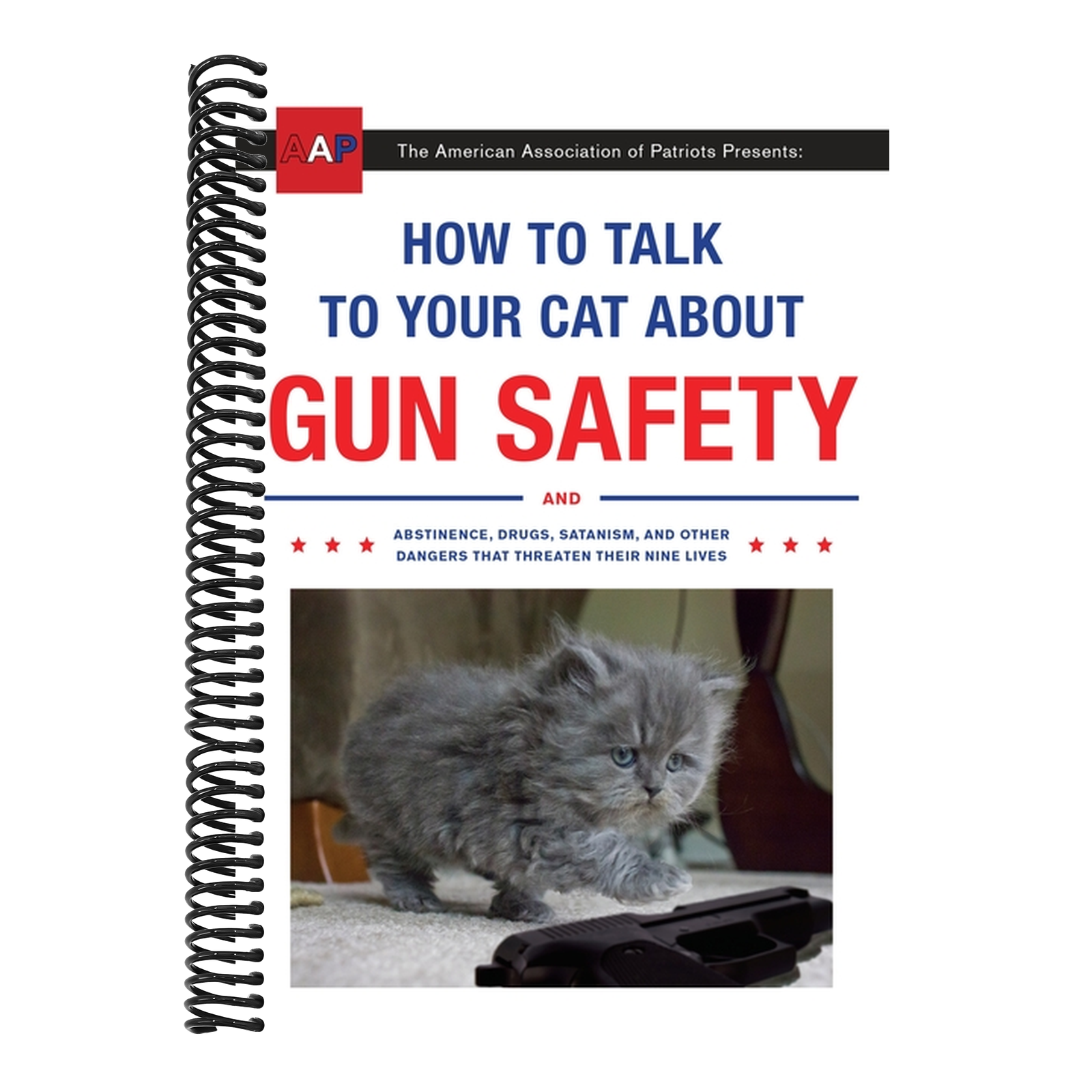How to Talk to Your Cat about Gun Safety: And Abstinence, Drugs, Satanism, and Other Dangers That Threaten Their Nine Lives