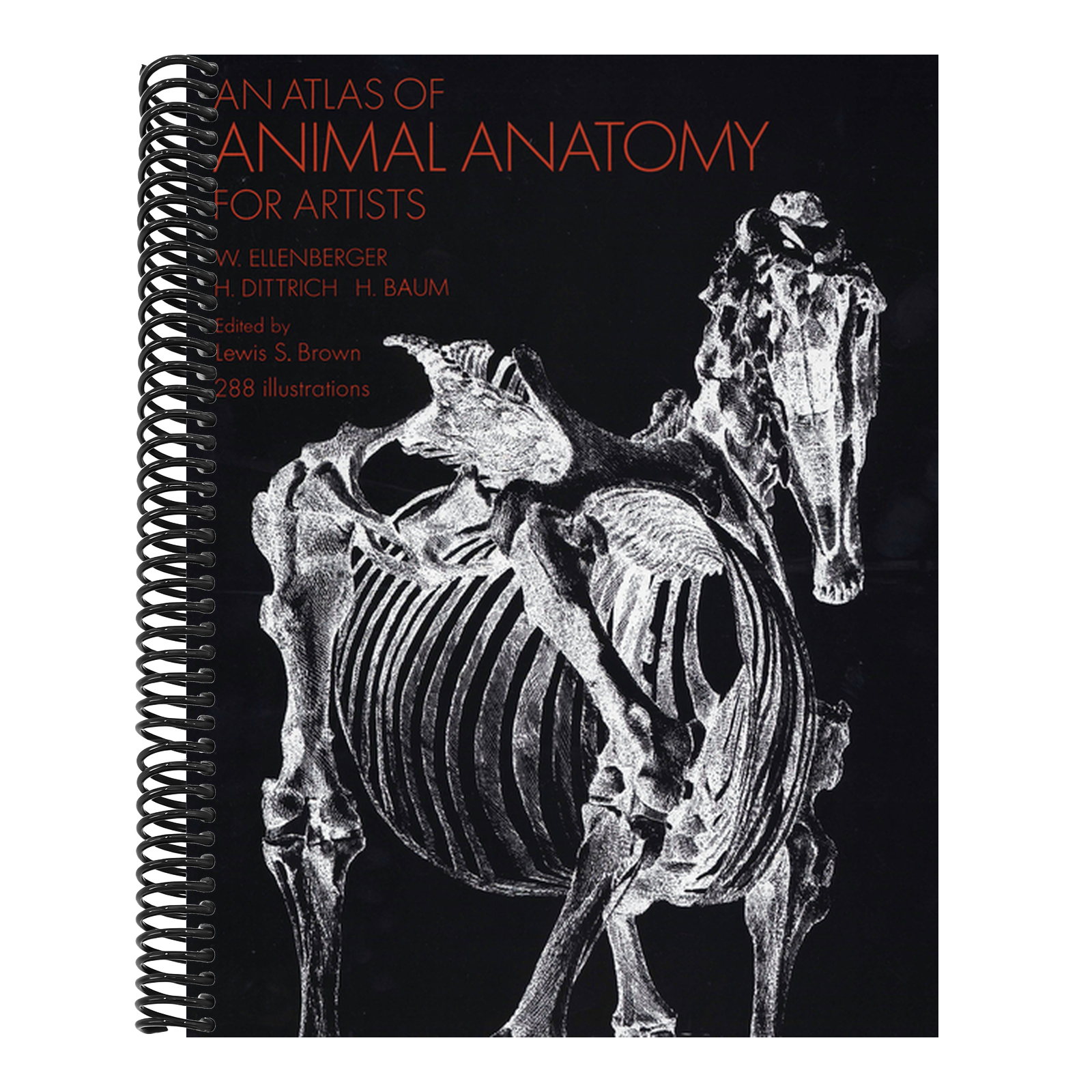 An Atlas of Animal Anatomy for Artists