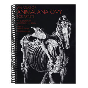 An Atlas of Animal Anatomy for Artists