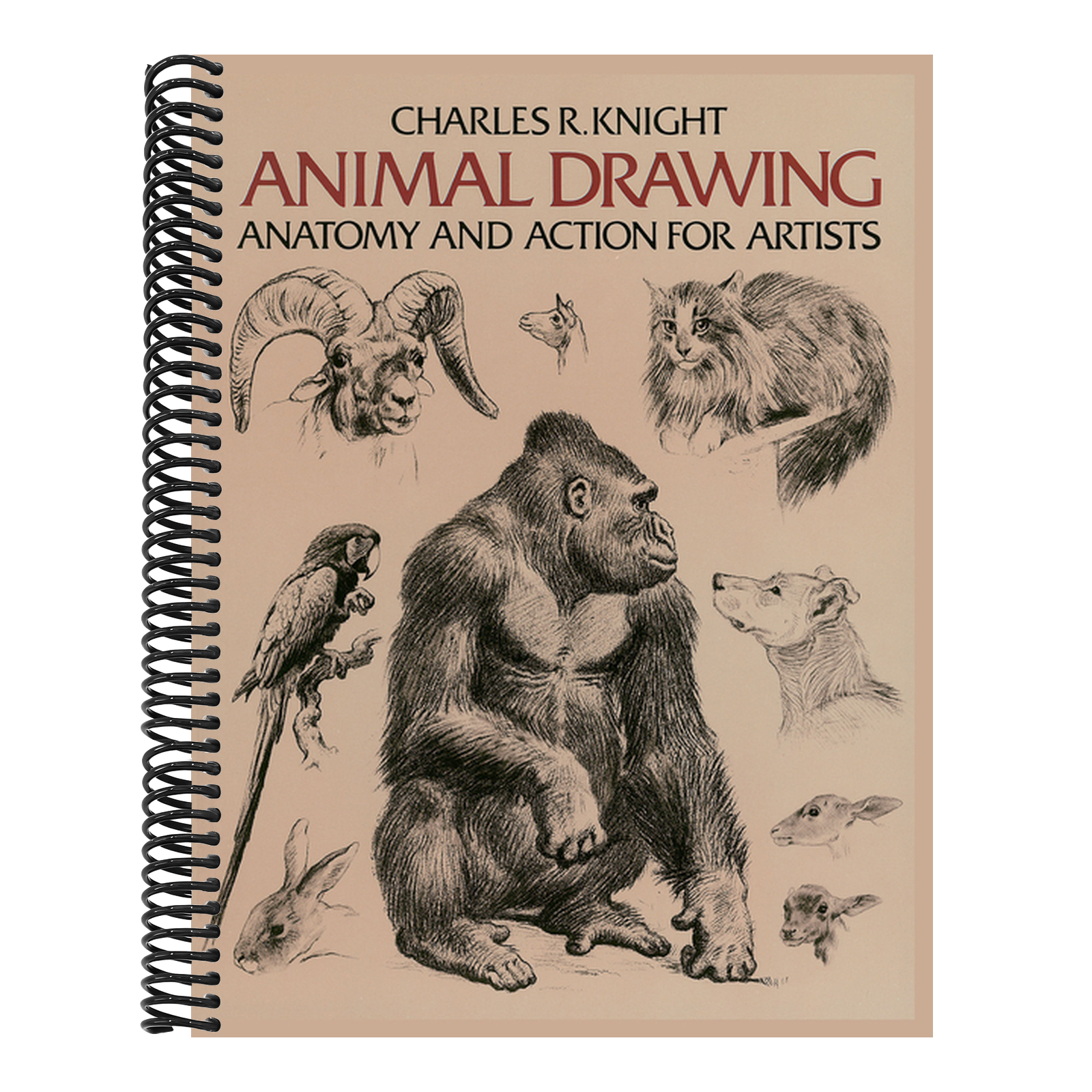 Animal Drawing: Anatomy and Action for Artists