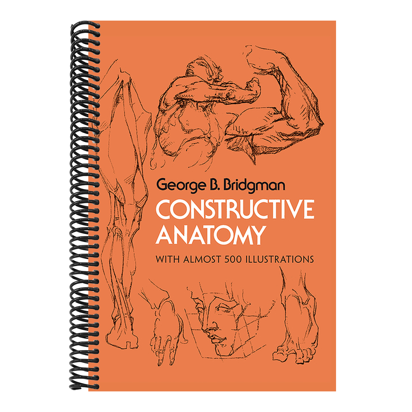 Constructive Anatomy: With Almost 500 Illustrations (Revised)
