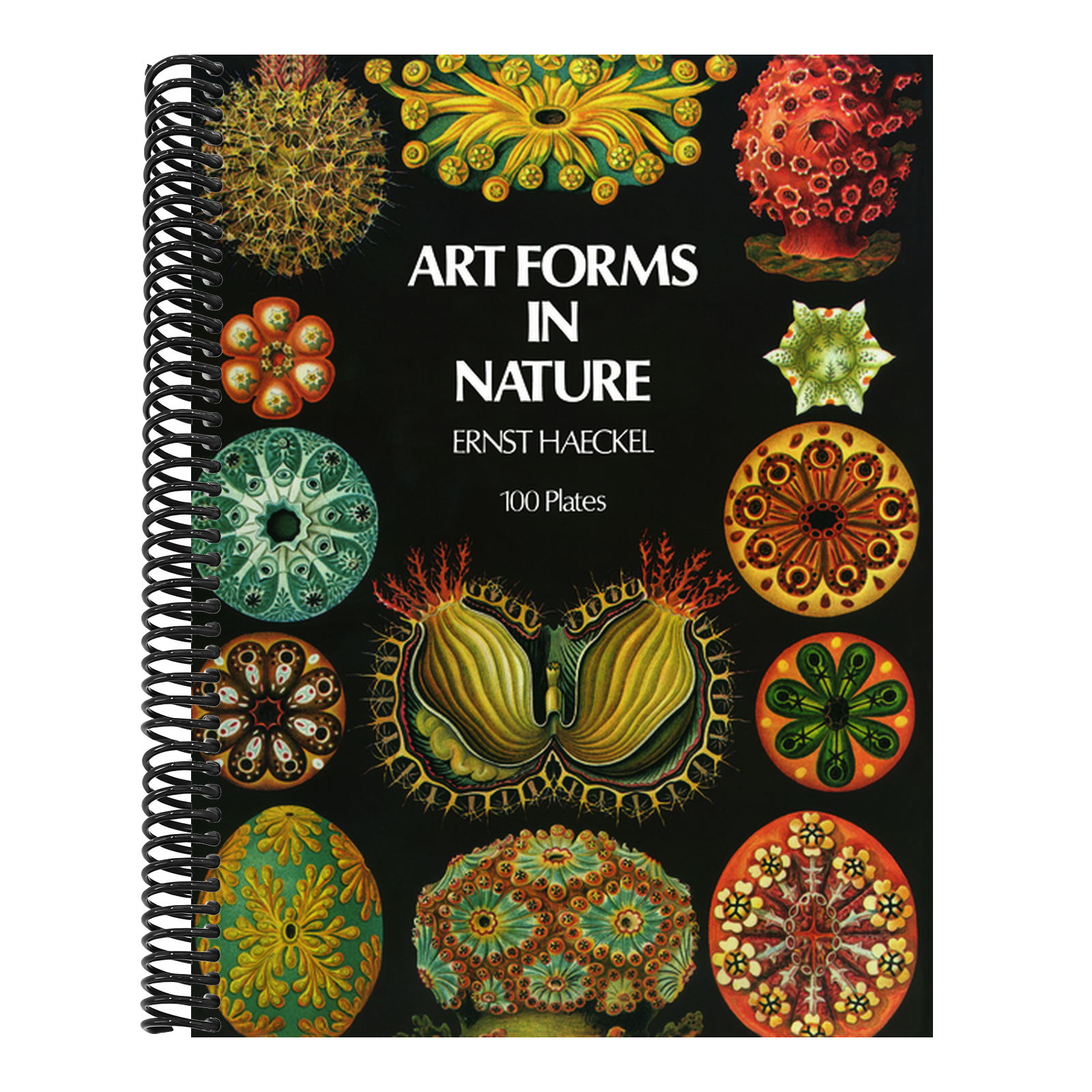 Art Forms in Nature (Revised)