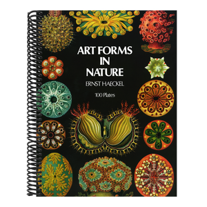 Art Forms in Nature (Revised)