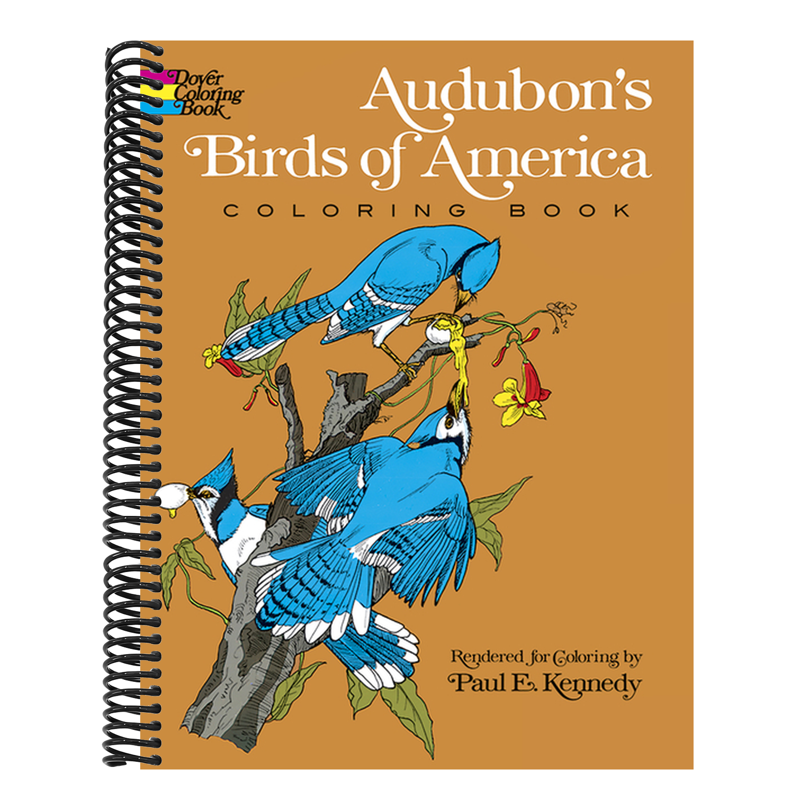 Audubon's Birds of America Coloring Book