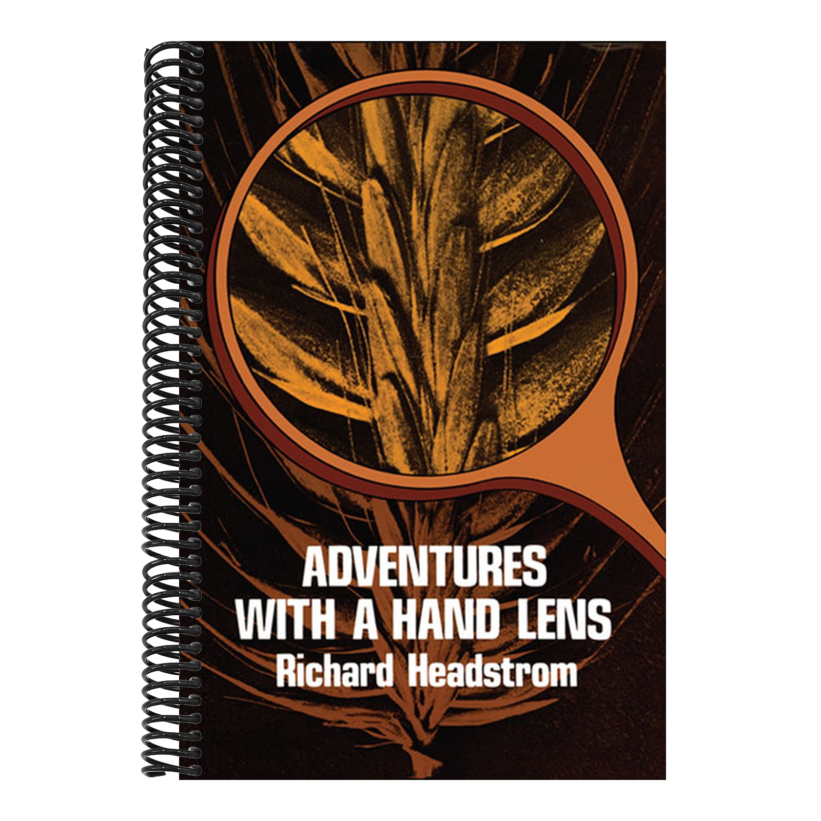 Adventures with a Hand Lens