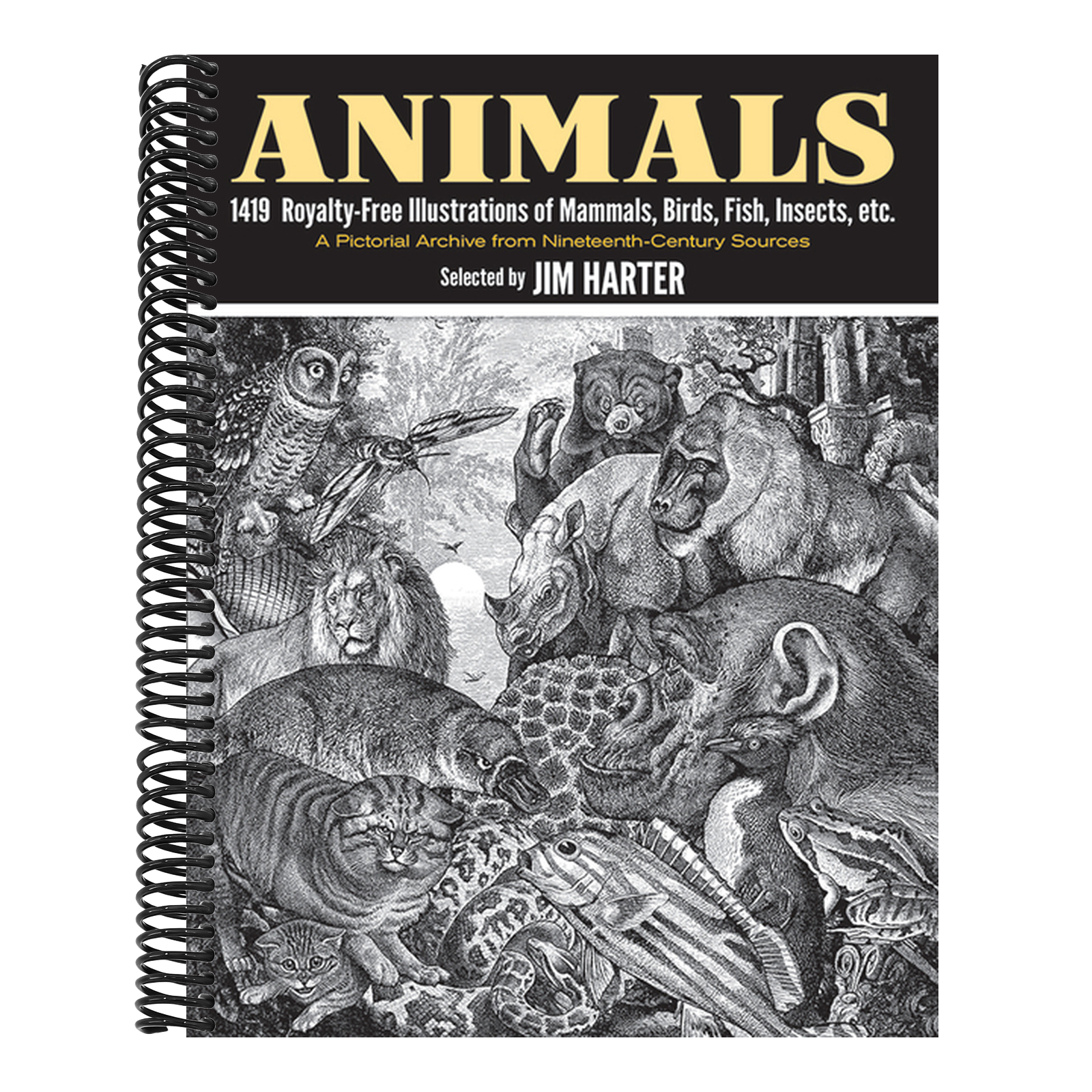Animals: 1419 Royalty-Free Illustrations of Mammals, Birds, Fish, Insects, Etc.