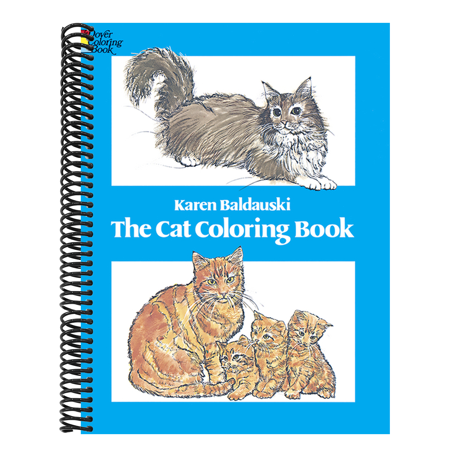 The Cat Coloring Book