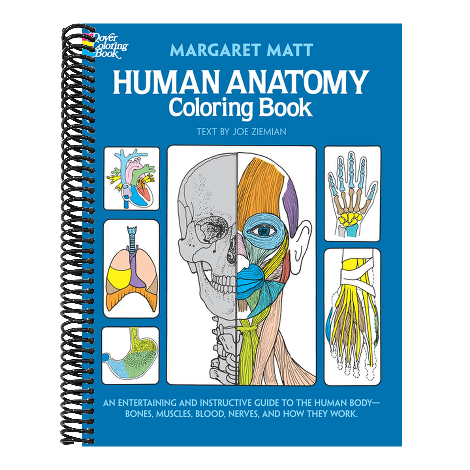 Human Anatomy Coloring Book