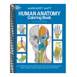Human Anatomy Coloring Book