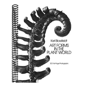 Art Forms in the Plant World