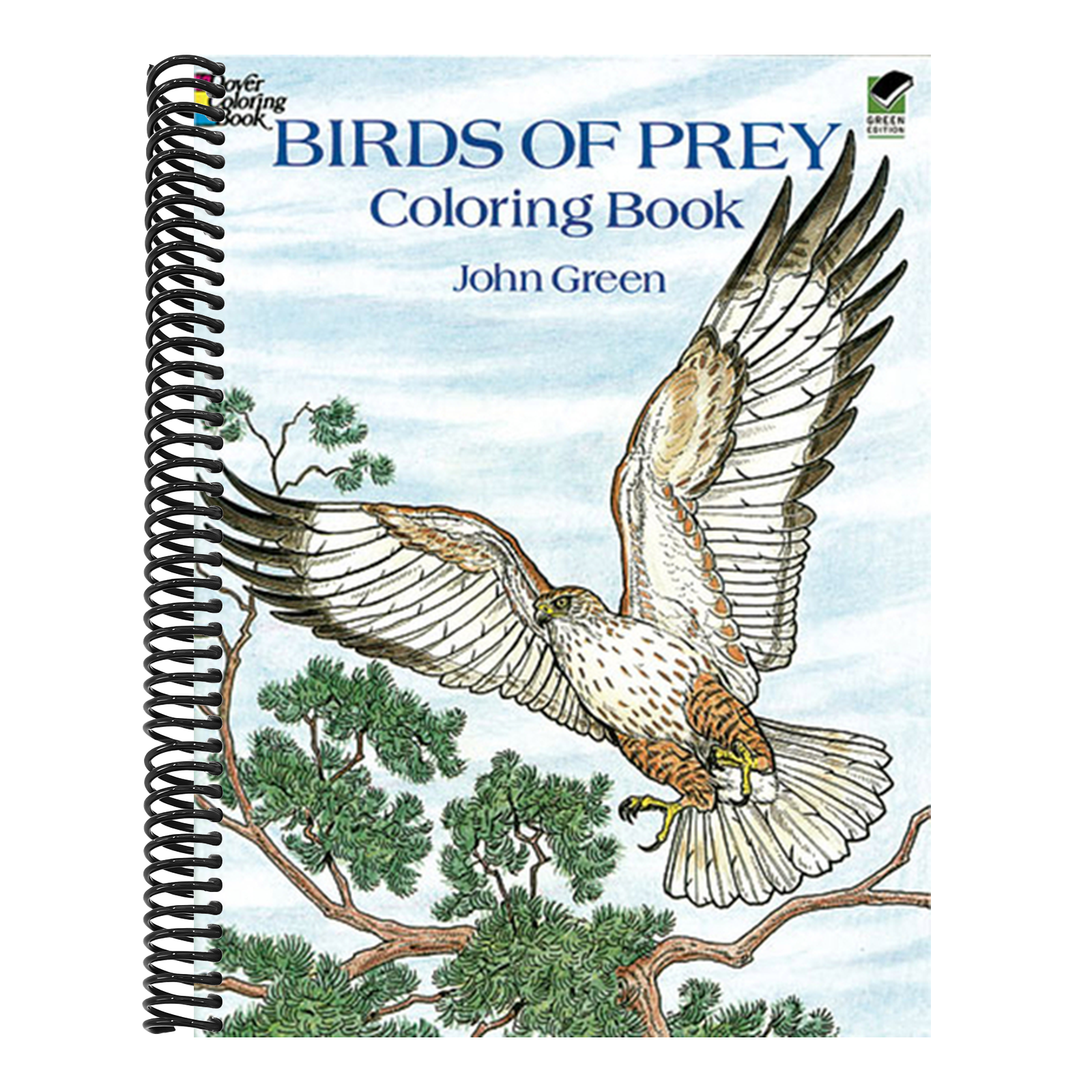 Birds of Prey Coloring Book