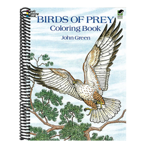Birds of Prey Coloring Book
