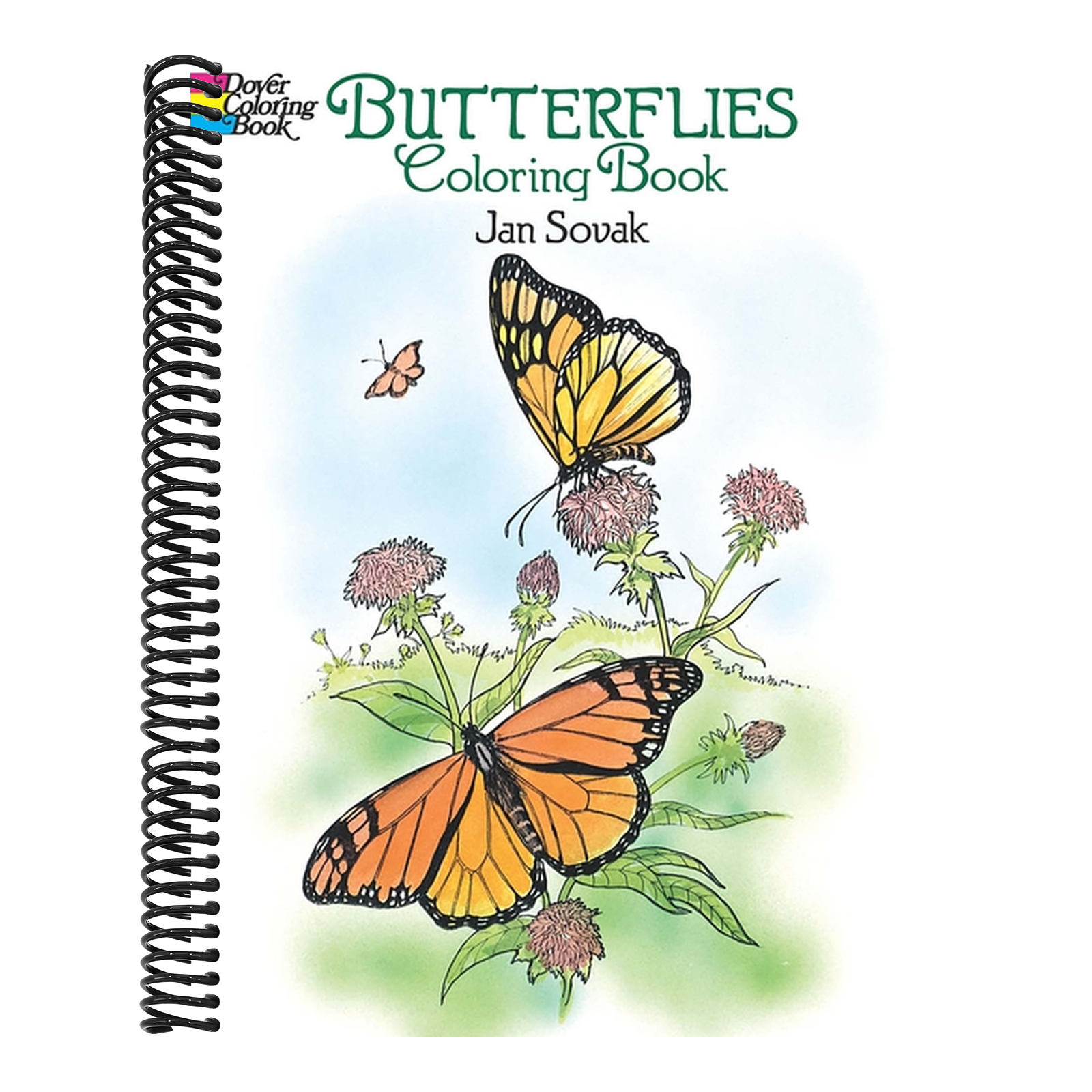 Butterflies Coloring Book
