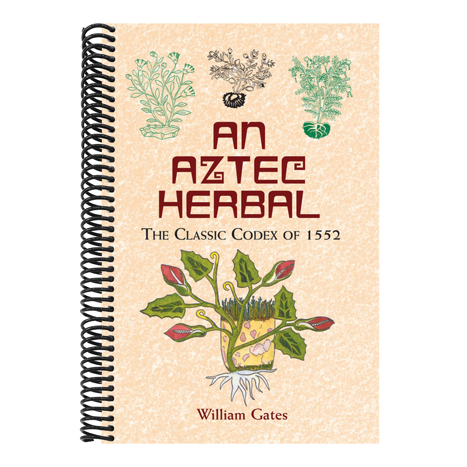 An Aztec Herbal: The Classic Codex of 1552
