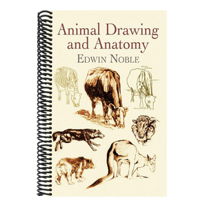 Animal Drawing and Anatomy