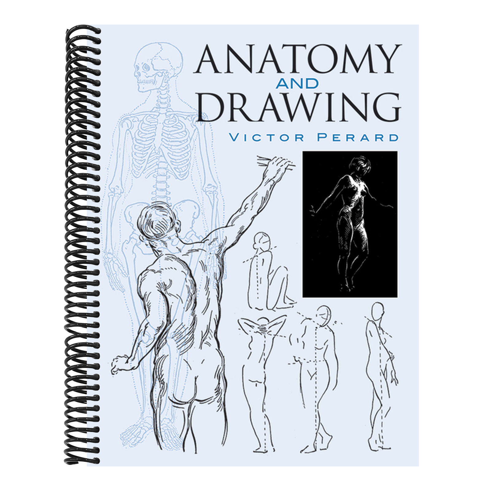 Anatomy and Drawing