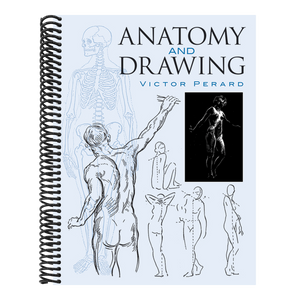 Anatomy and Drawing