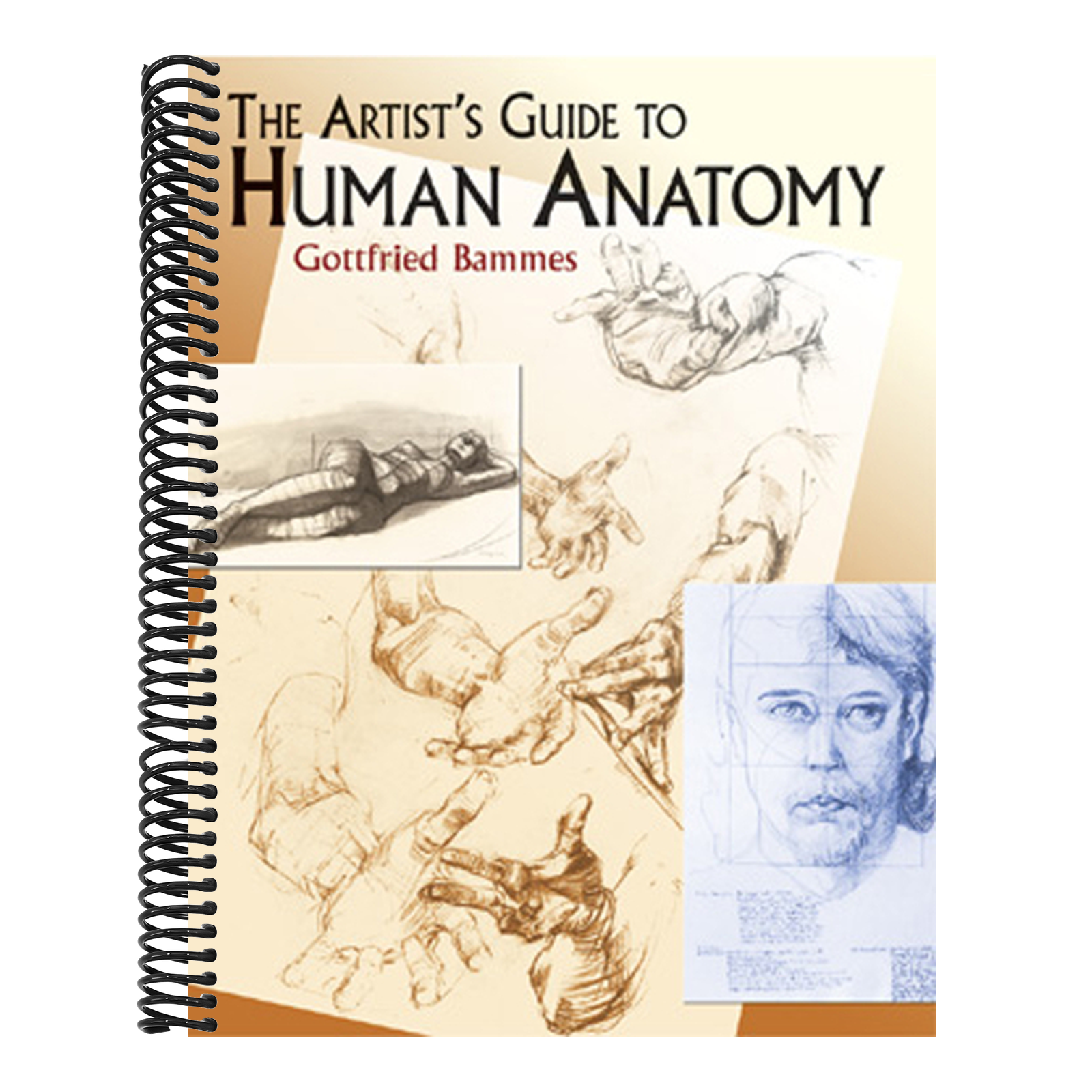 The Artist's Guide to Human Anatomy