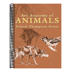 Art Anatomy of Animals