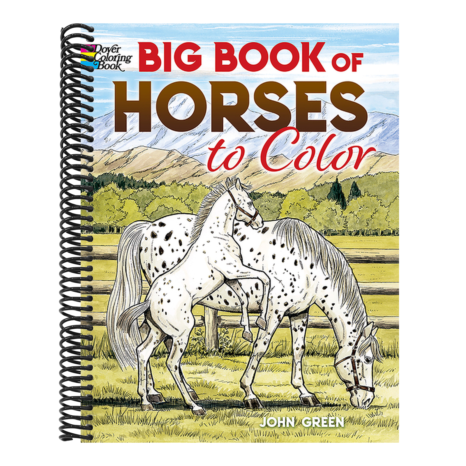 Big Book of Horses to Color