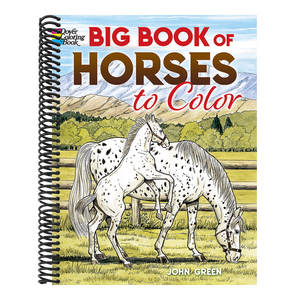 Big Book of Horses to Color