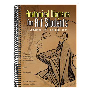 Anatomical Diagrams for Art Students