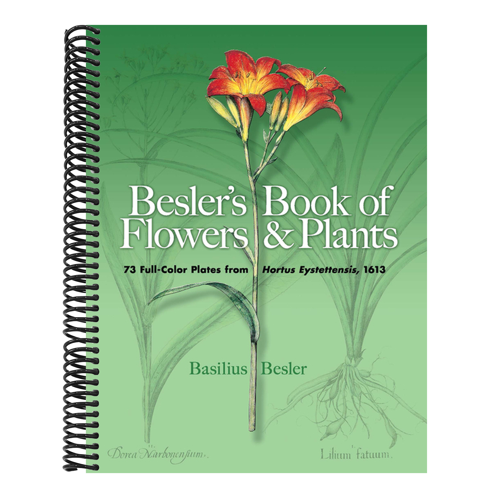 Besler's Book of Flowers and Plants: 73 Full-Color Plates from Hortus Eystettensis, 1613