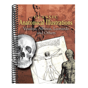 Classic Anatomical Illustrations: Vesalius, Albinus, Leonardo and Others