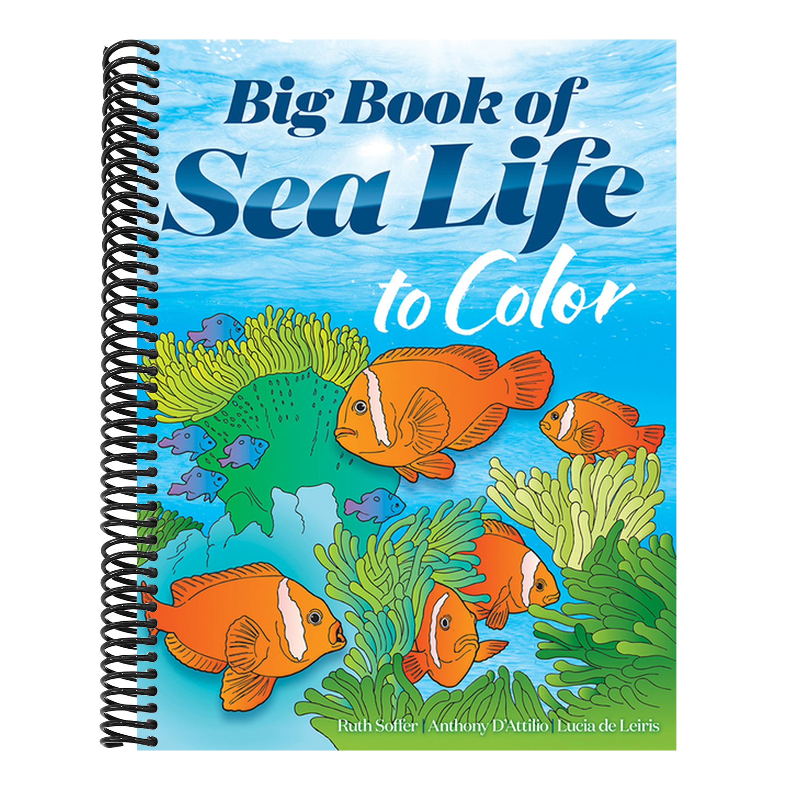 Big Book of Sea Life to Color