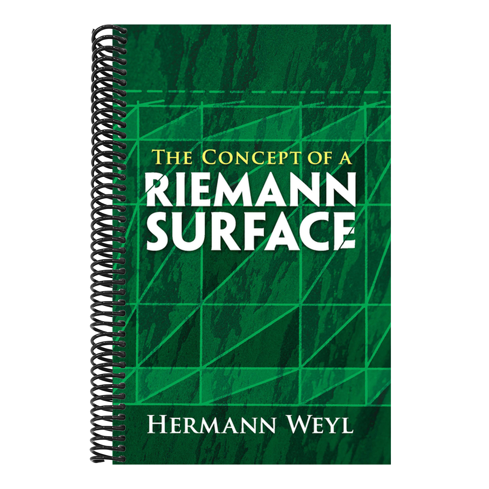 The Concept of a Riemann Surface