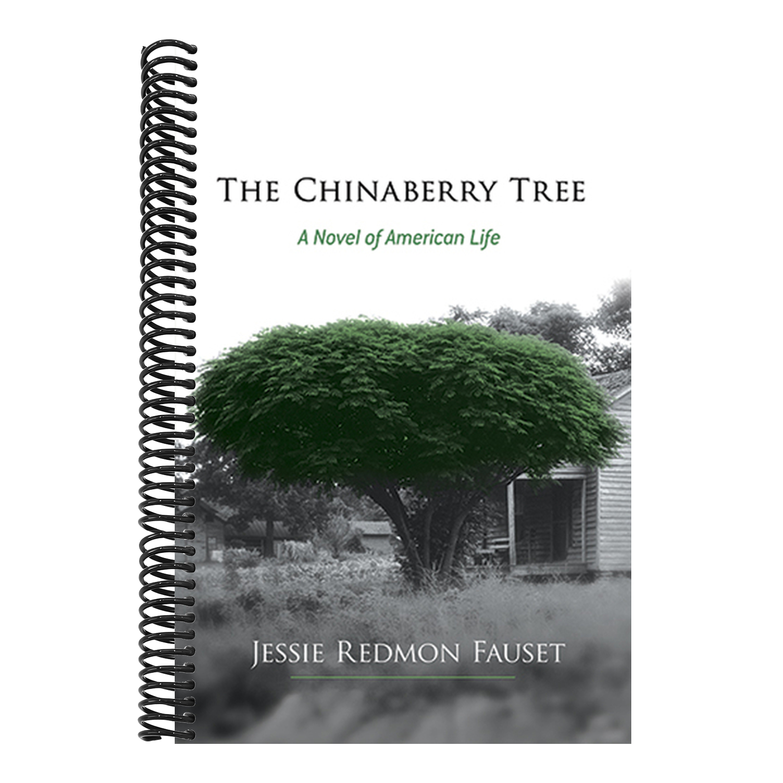 The Chinaberry Tree: A Novel of American Life