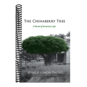 The Chinaberry Tree: A Novel of American Life