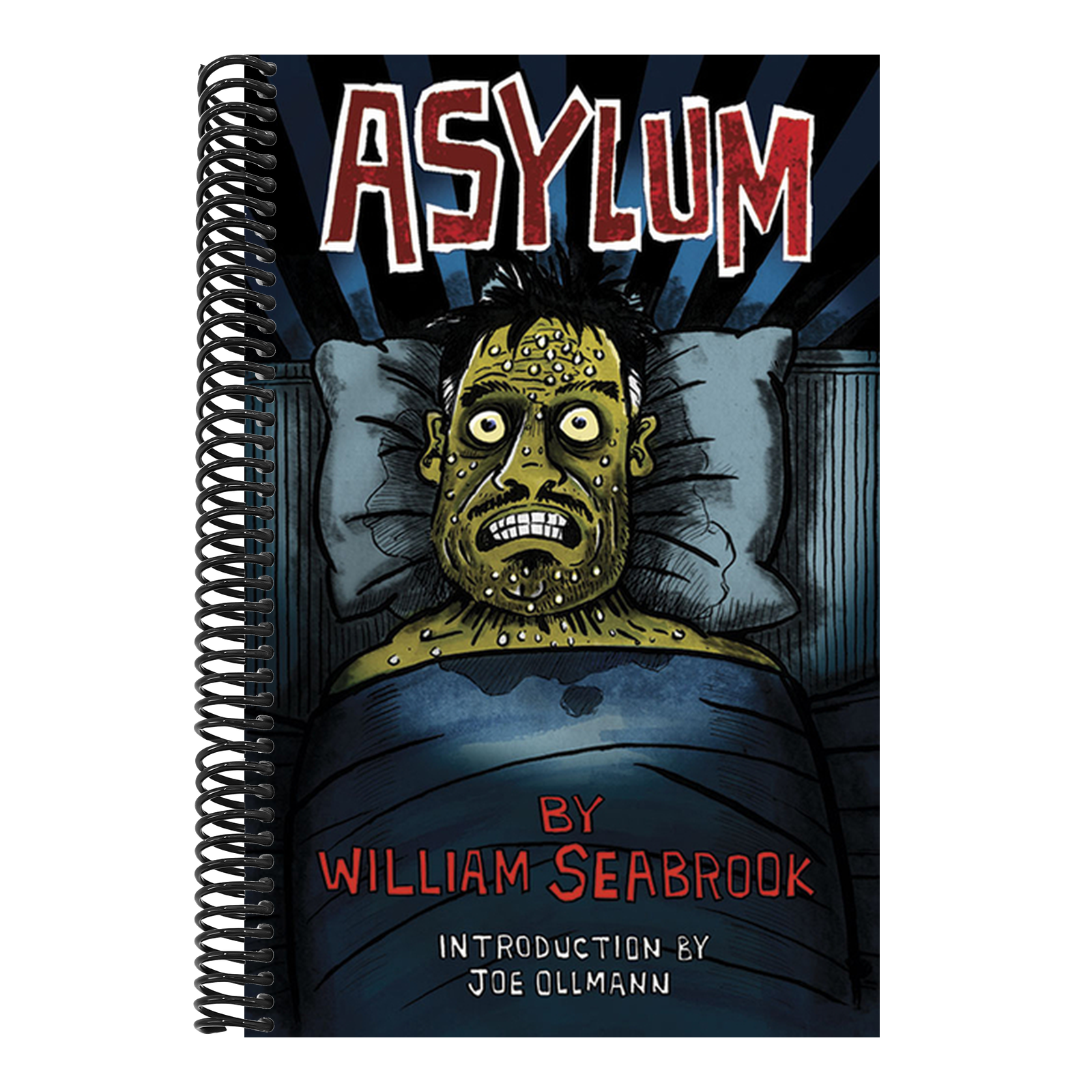 Asylum (First Edition, First)