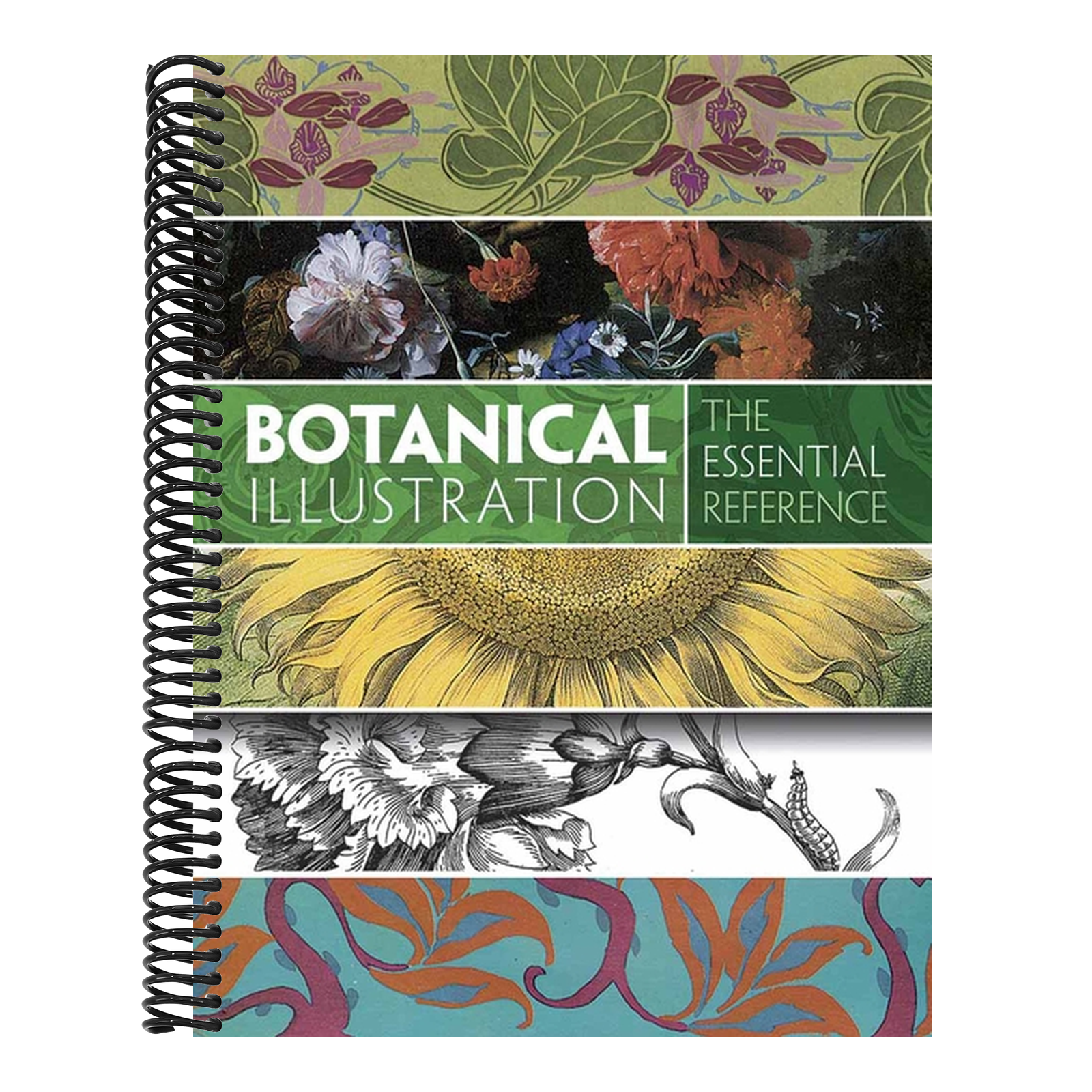 Botanical Illustration: The Essential Reference