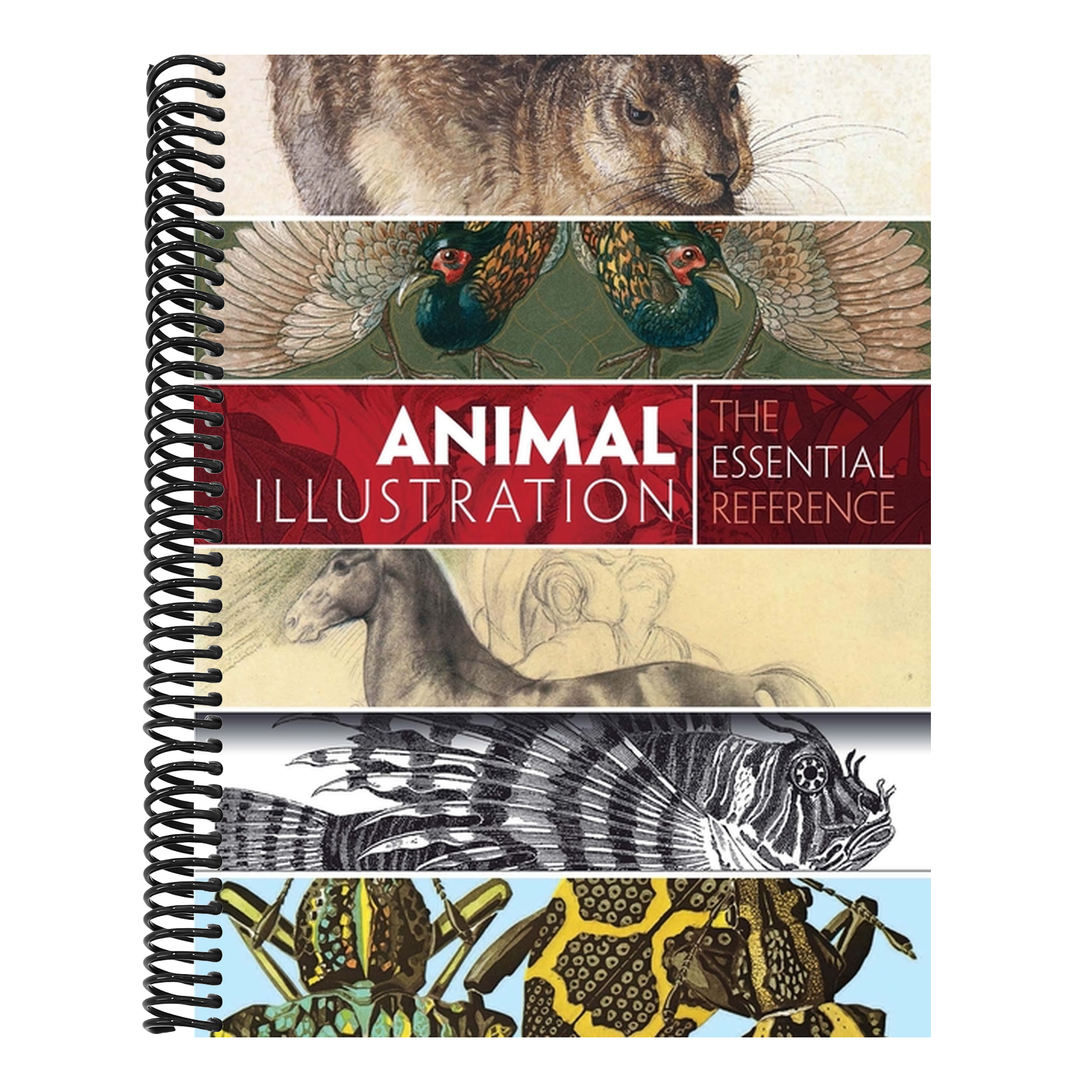 Animal Illustration: The Essential Reference