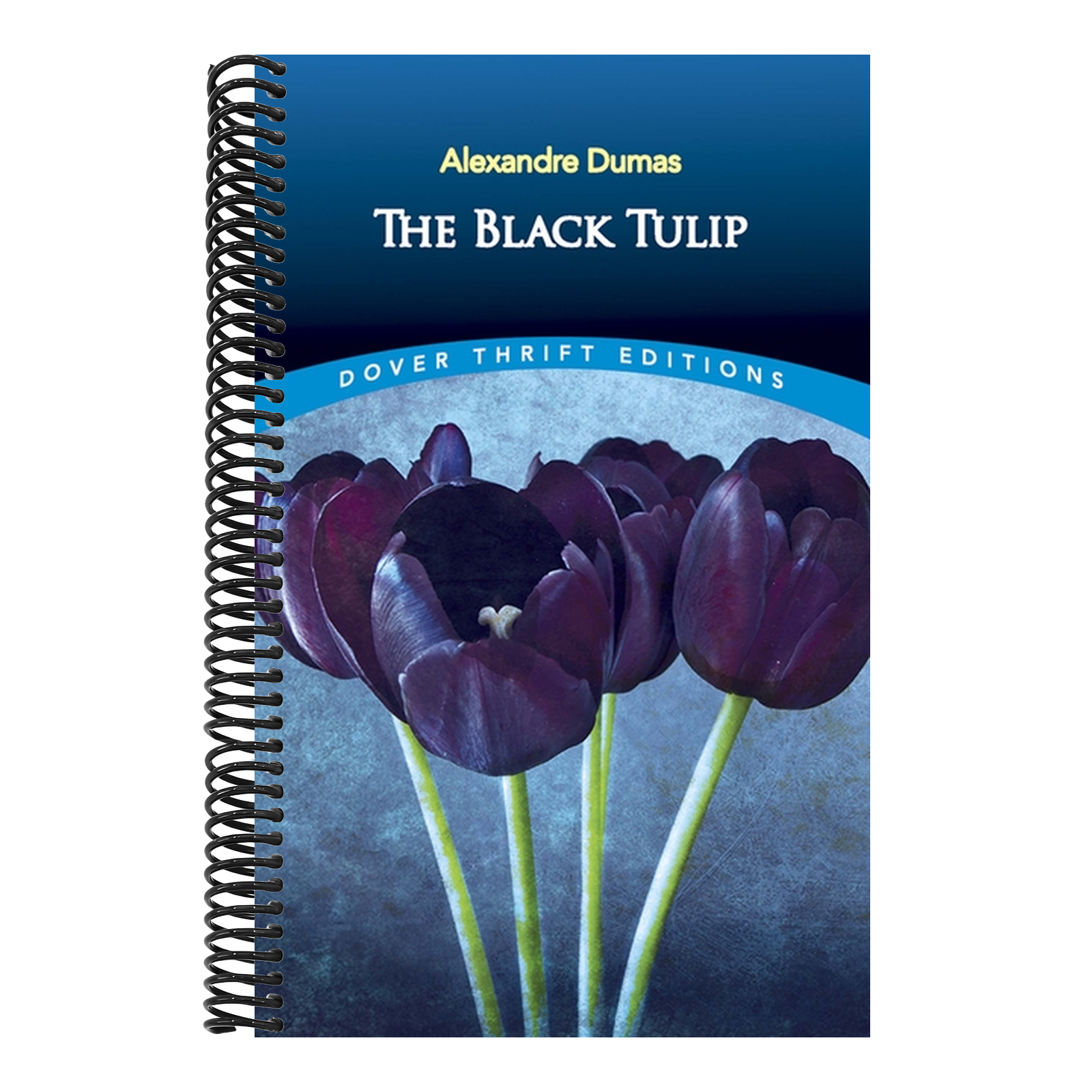 The Black Tulip