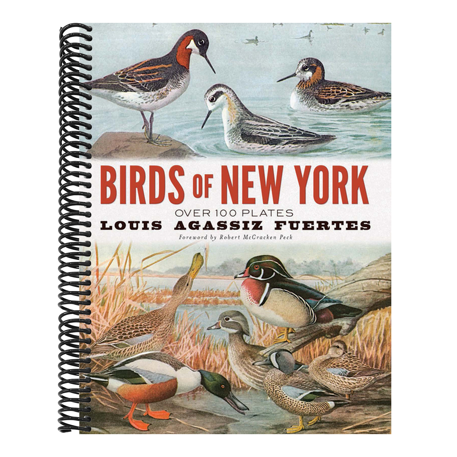 Birds of New York: Over 100 Plates