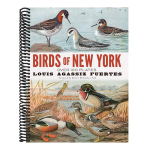 Birds of New York: Over 100 Plates