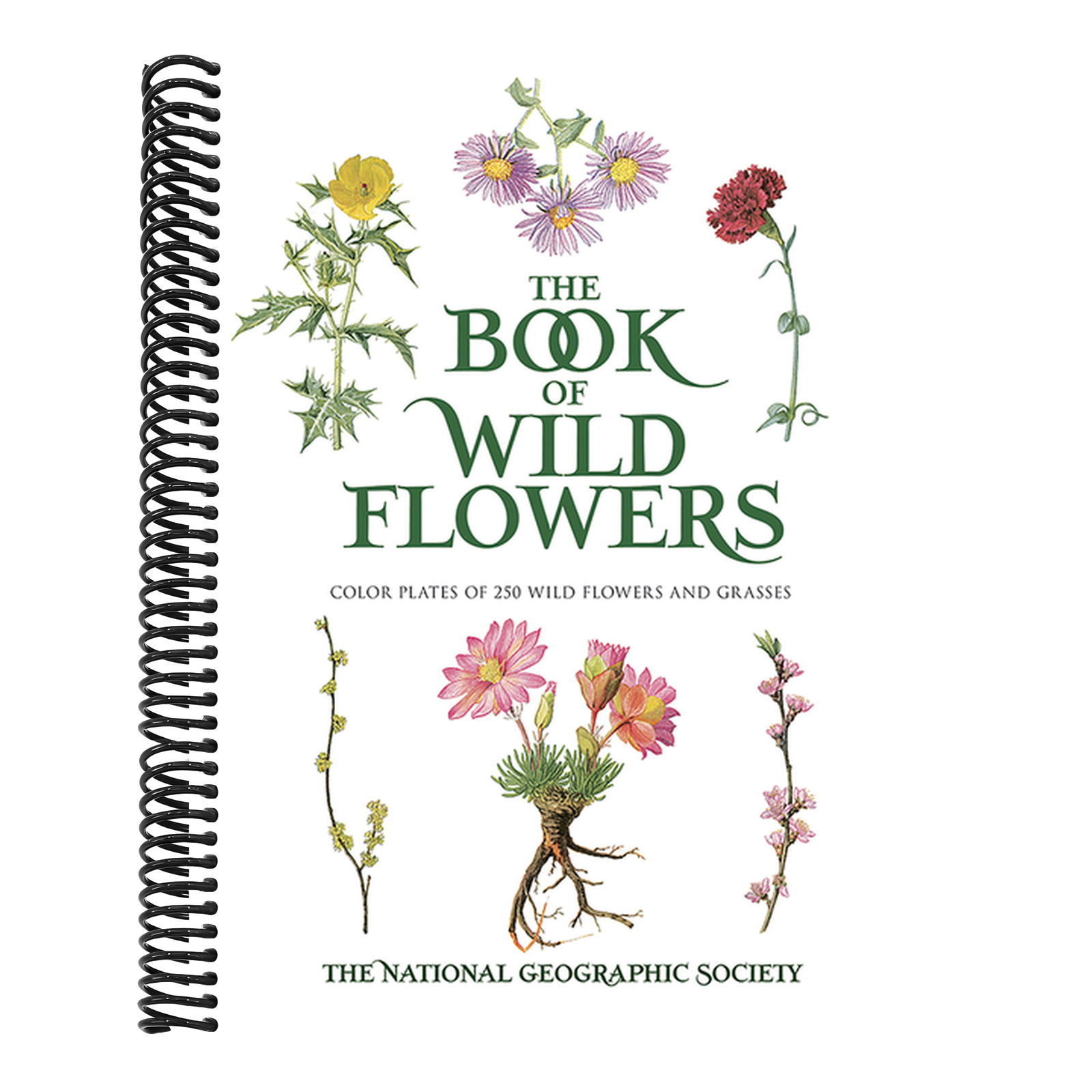 The Book of Wild Flowers: Color Plates of 250 Wild Flowers and Grasses