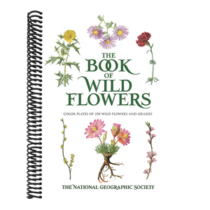 The Book of Wild Flowers: Color Plates of 250 Wild Flowers and Grasses