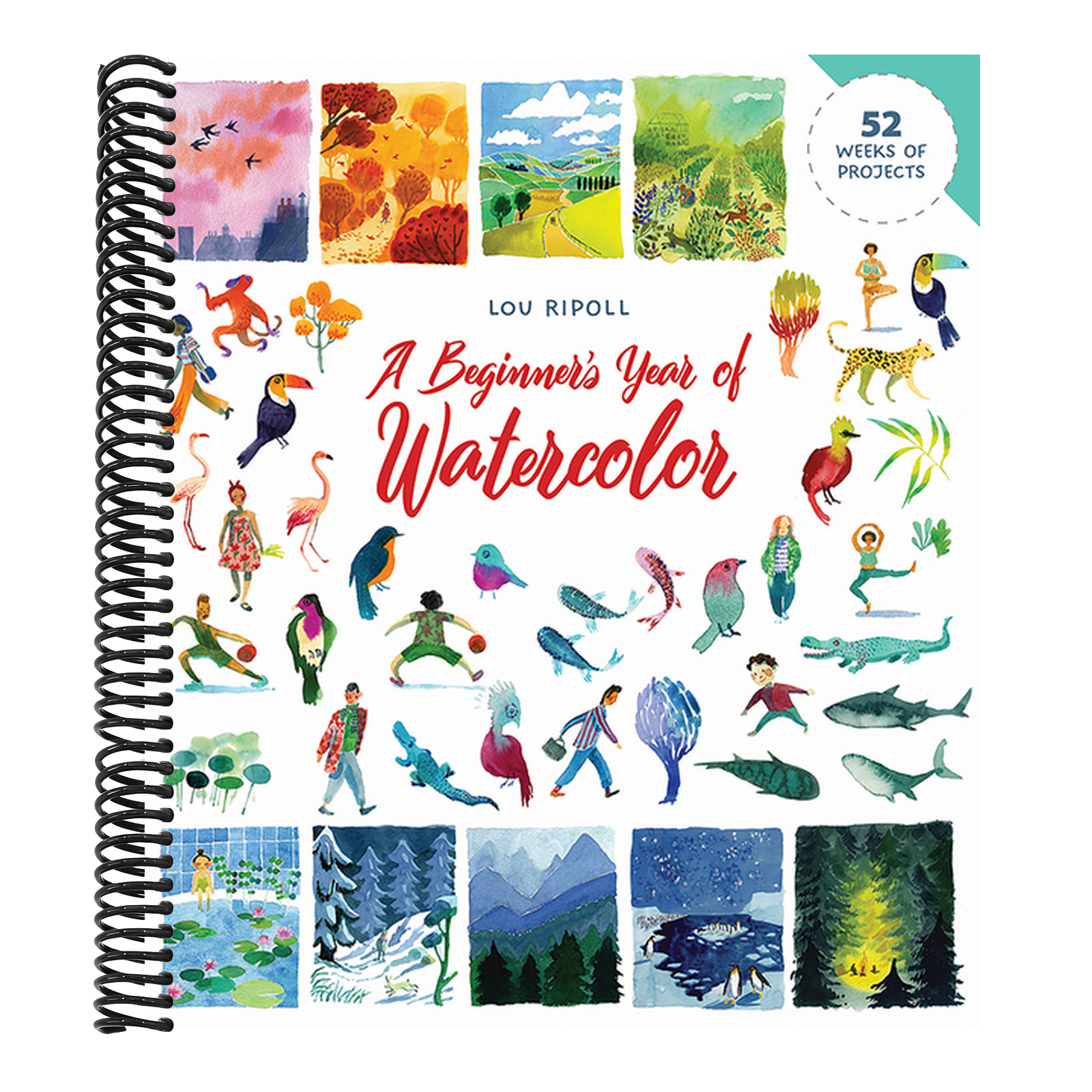 A Beginner's Year of Watercolor