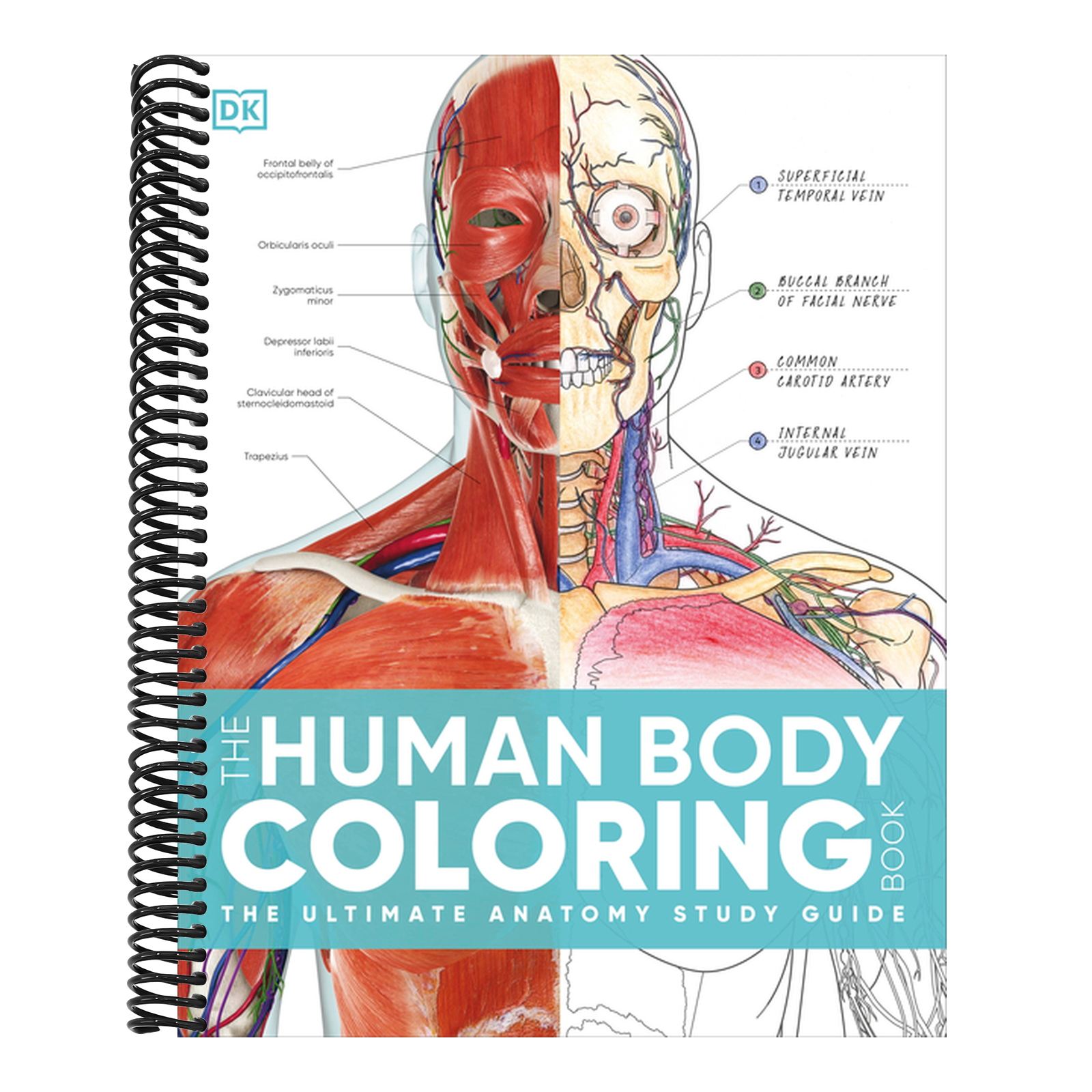 The Human Body Coloring Book: The Ultimate Anatomy Study Guide, Second Edition