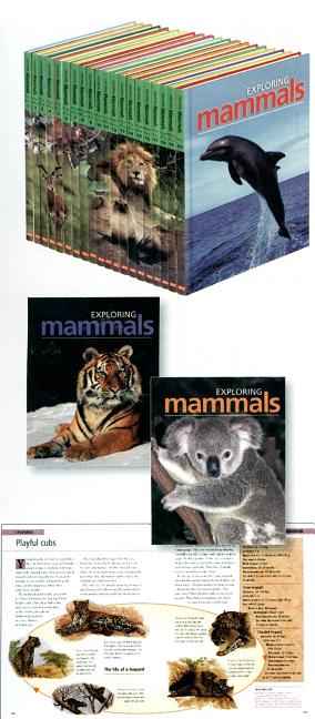 Exploring Mammals