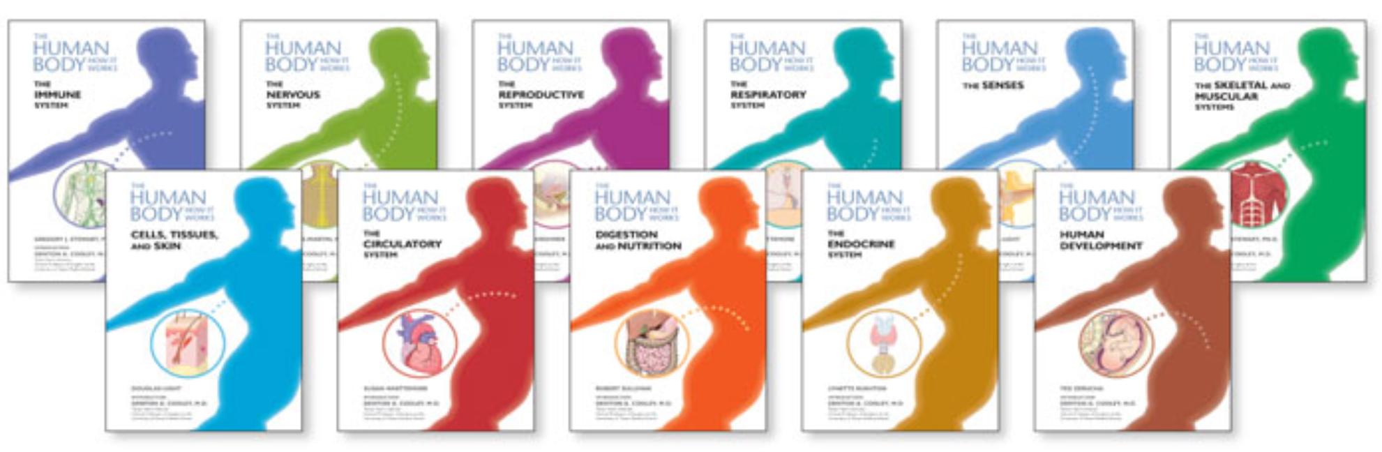 The Human Body: How It Works Set (Human Body: How It Works)