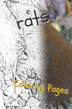 Rat Coloring Pages: Beautiful Rats Drawings for Kids and for Adults Relaxation