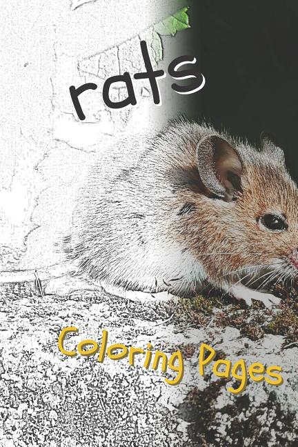 Rat Coloring Pages: Beautiful Rats Drawings for Kids and for Adults Relaxation