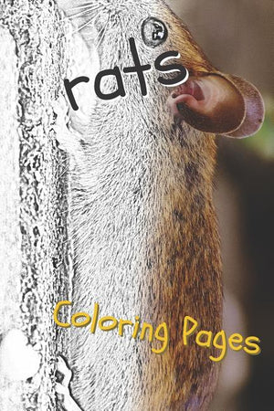 Rat Coloring Pages: Beautiful Rats Drawings for Kids and for Adults Relaxation